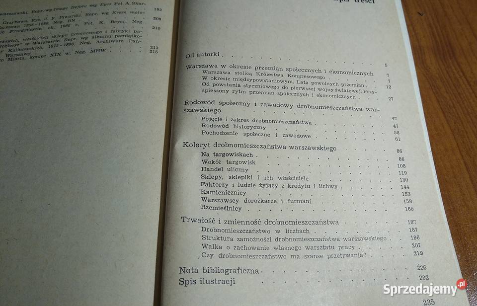 Drobnomieszczaństwo w dziewiętnastowiecznej