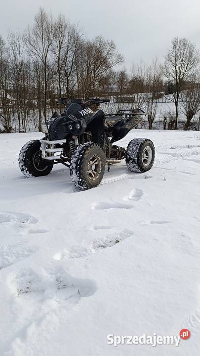 Bashan 250 Ciężkowice
