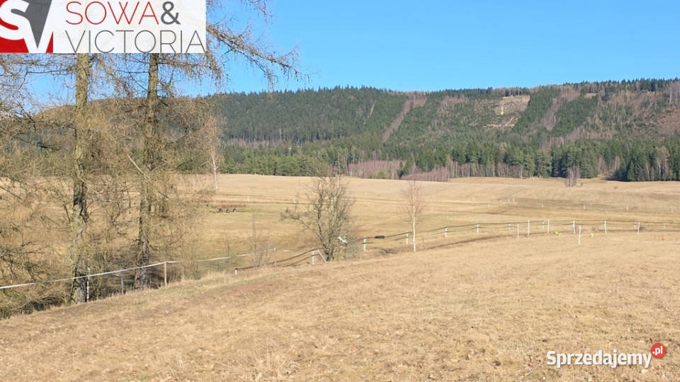 Inwestycyjna granicy z Czechami i węźle S3 dolnośląskie Chełmsko Śląskie sprzedam