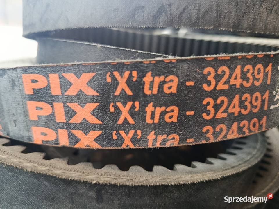 Pas 324391 Biłgoraj