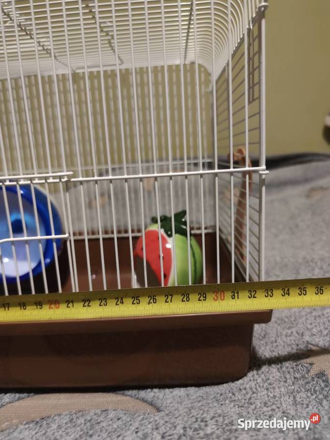 Domek chomika Gryzonie Siedlce