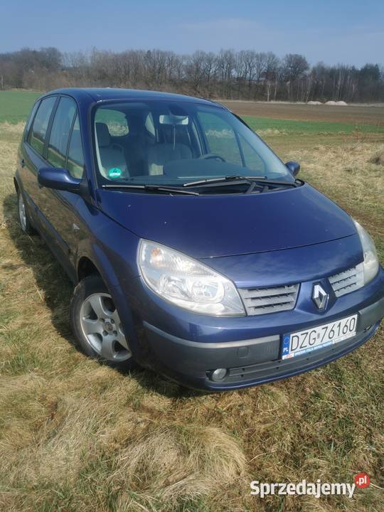 Sprzedam Renault scenic 2 16 benzyna 2006 Lasów sprzedam