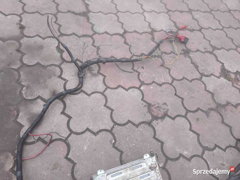 Lublin FS INTRALL Wiązka elektryczna Stalowa Wola