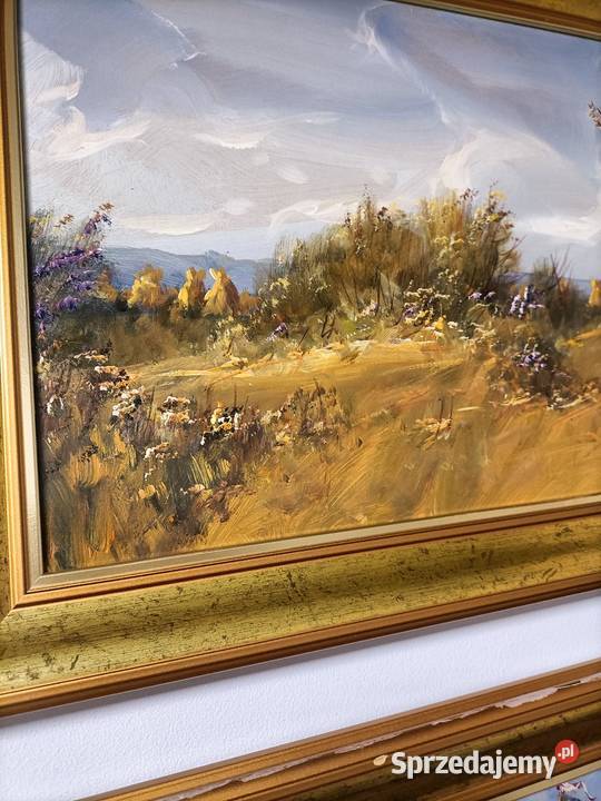 Obrazy ręcznie malowane Mieczysław Wilczek Elbląg sprzedam