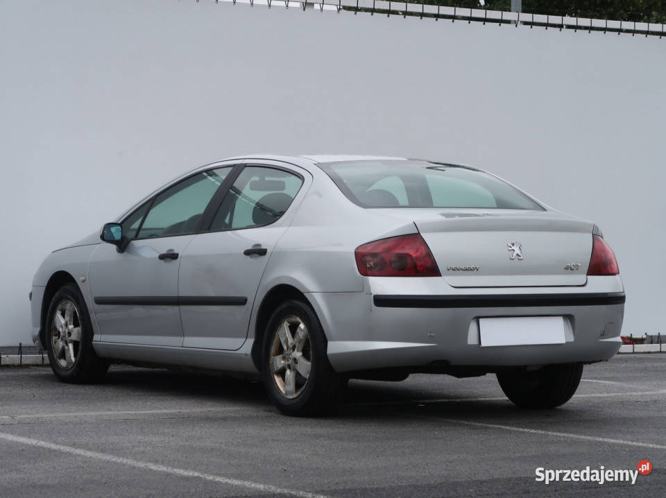 Peugeot 407 18
