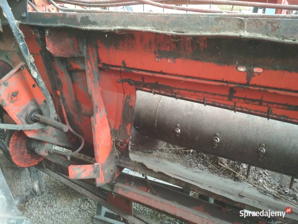 Heder do Bizona Dąbrówka