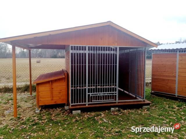 kojec buda psa walton Duszniki-Zdrój