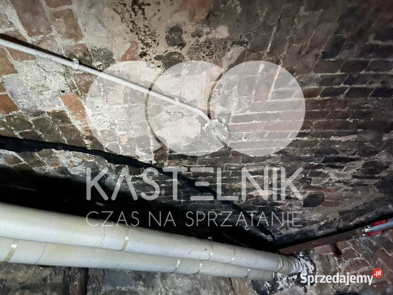 Sprzątanie zalaniach usuwanie szkód Warszawa Osuszanie i odgrzybianie
