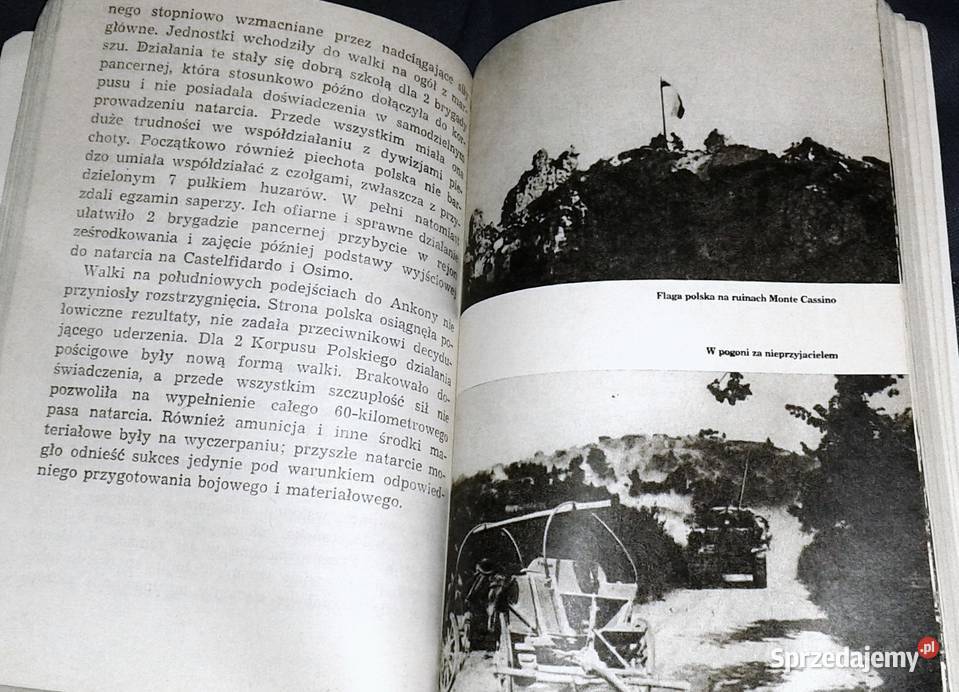 Ankona Witold Biegański Pozostałe