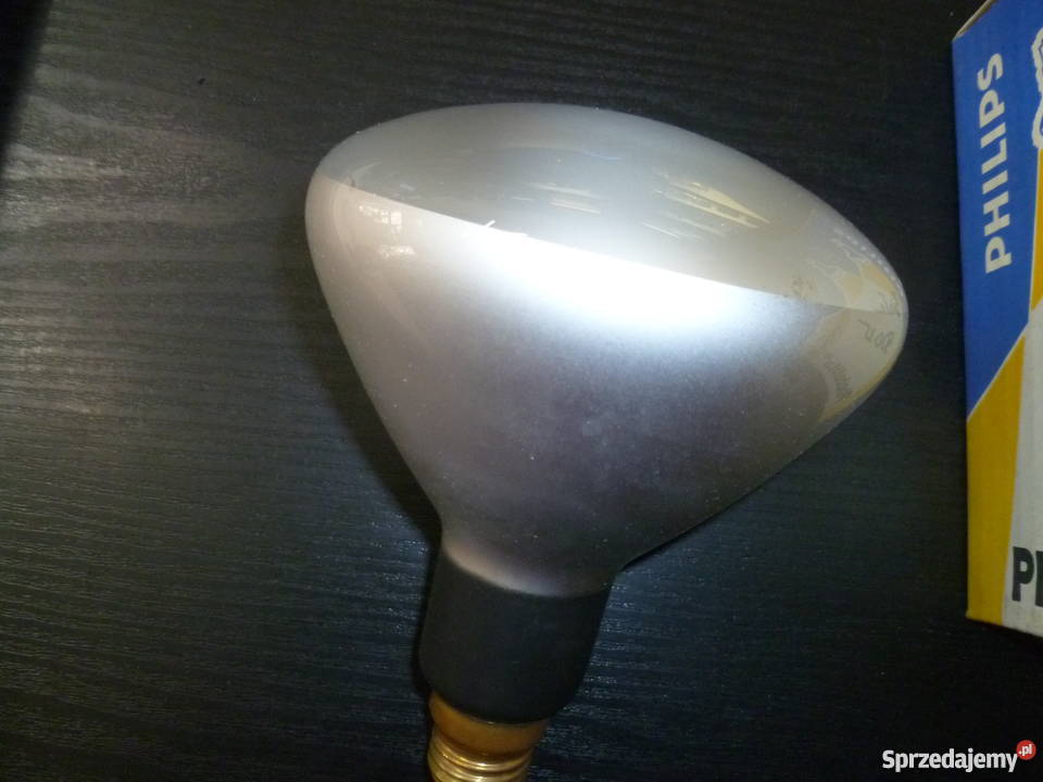 Zarówki foto Kraków sprzedam