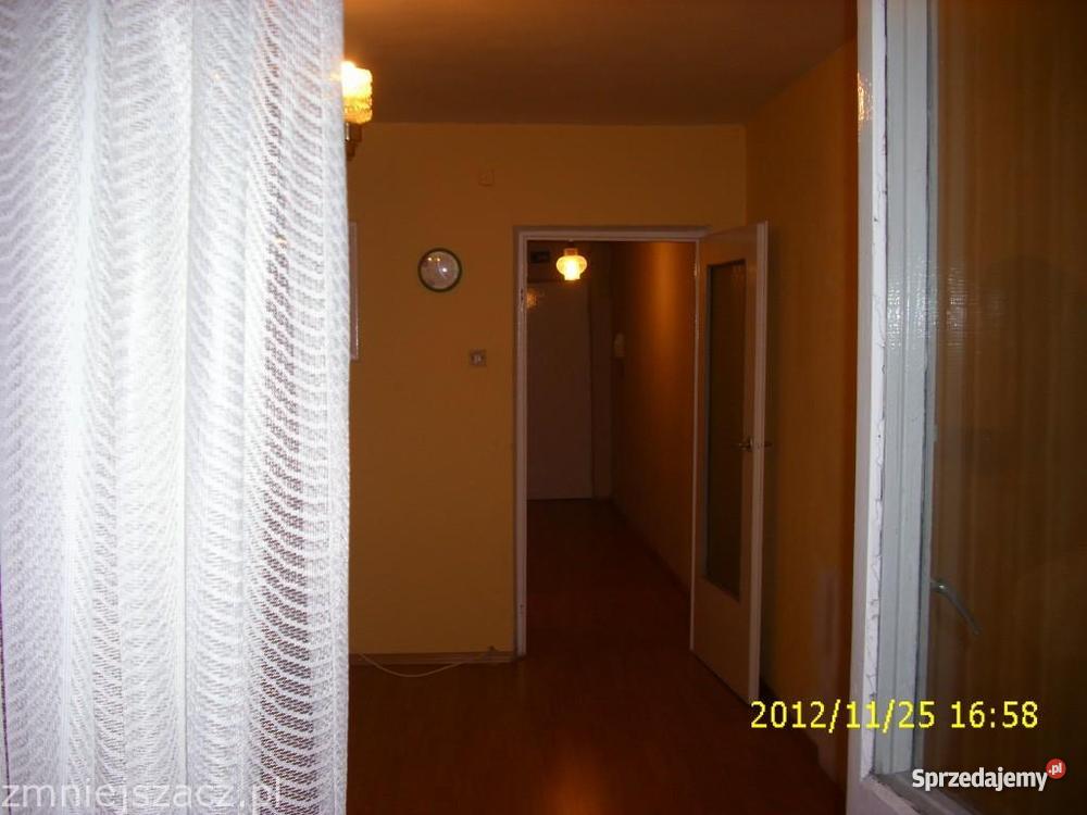 Chorzów Ryszkimieszkanie Liczba pokoi 1 Chorzów