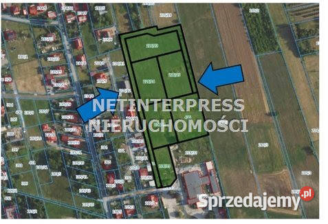Działka 21185m2 Aleksandrówka Sprzedaż