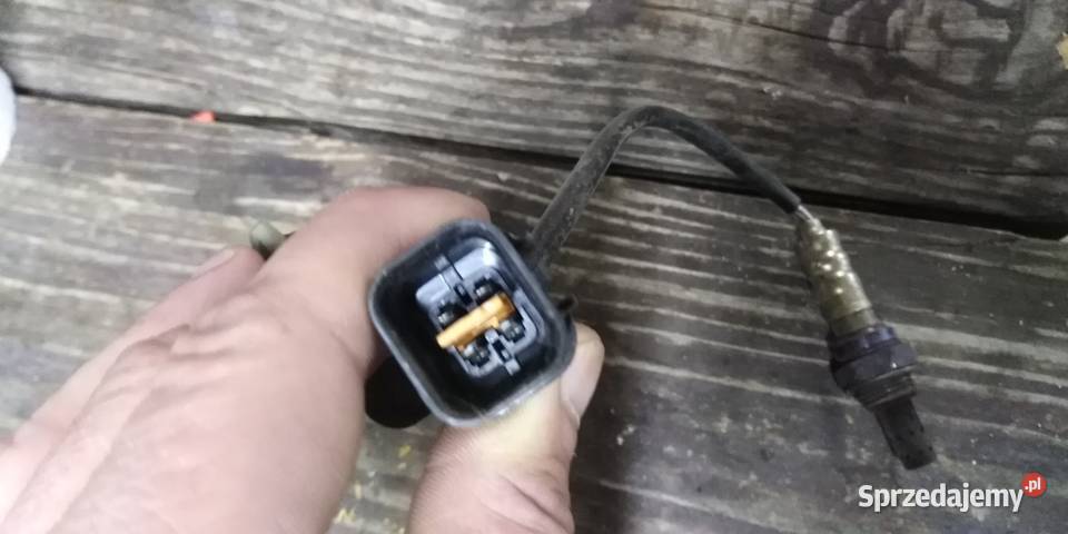 sonda lambda golden OZK 462H1 hyndai kia 20 16v osobowe podkarpackie Przemyśl