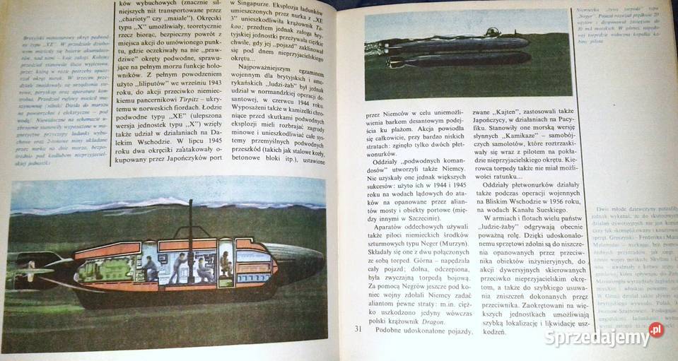 Tajemnice podmorskiego świata Piotr Oborski Chełm