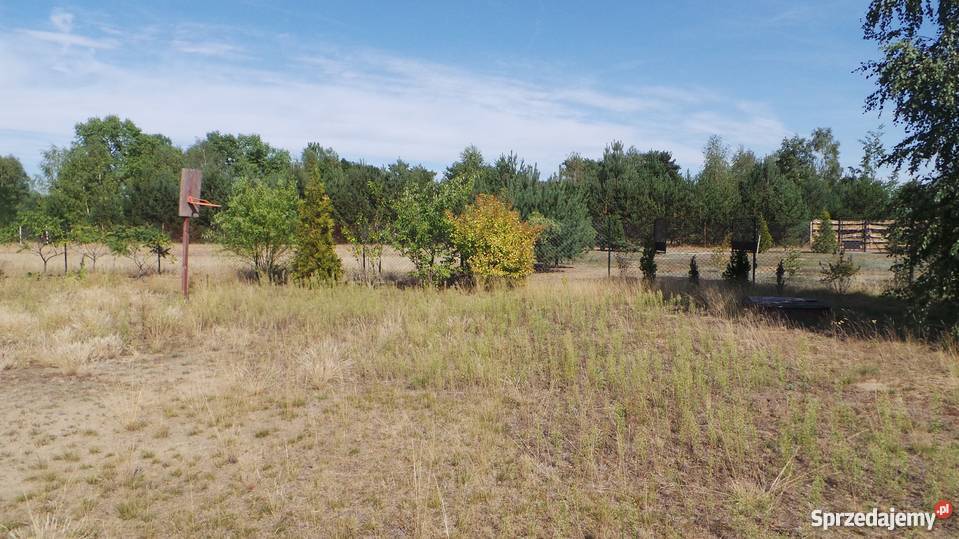Działka rekreacyjnobudowl Narwią 1000m2udział w mazowieckie Rzewnie