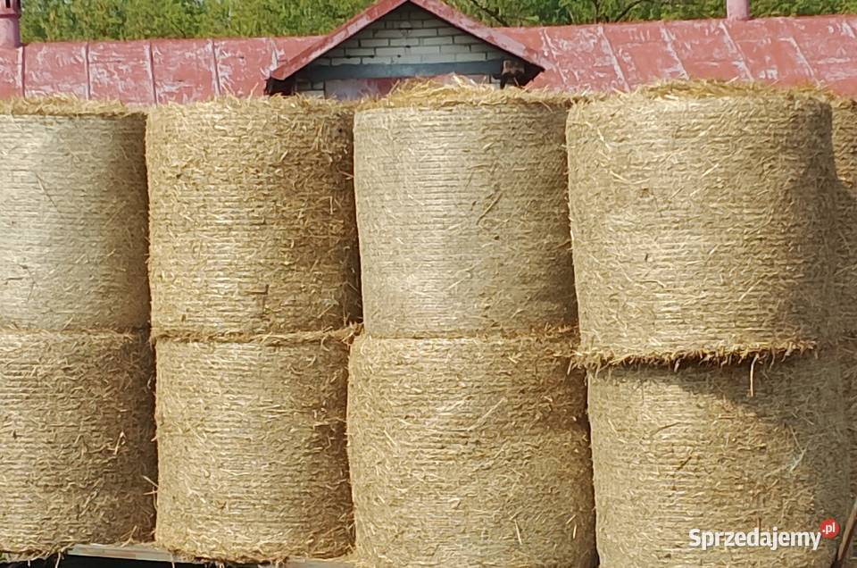 Słoma w belach