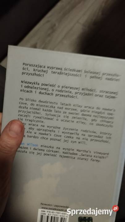 letni port Susan Wilson Pozostałe Poznań