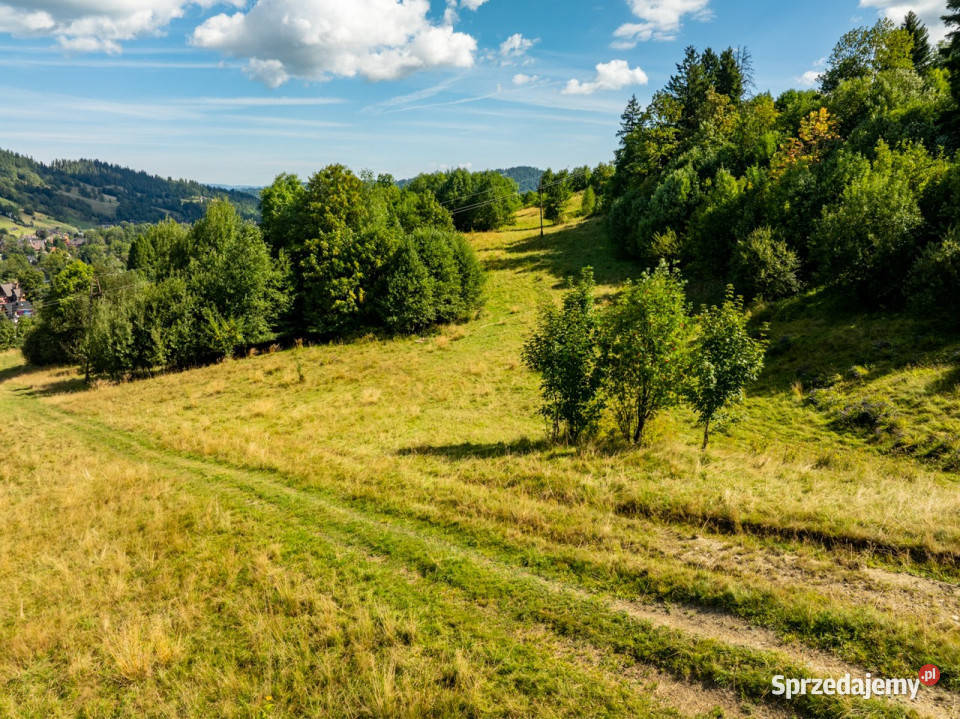 Grunt inwestycyjny Bachledzki Wierch Zakopane Sprzedaż