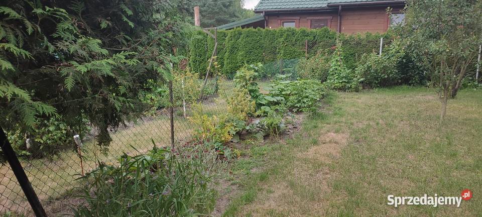 Działka WrzącaLutomiersk WŁASNOŚĆ ROD Sprzedaż Lutomiersk