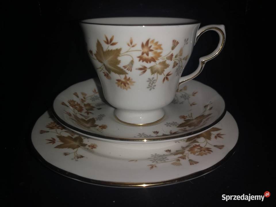 Filiżanka z talerzykiem Colclough Jesienne Porcelana i szkło Gdańsk