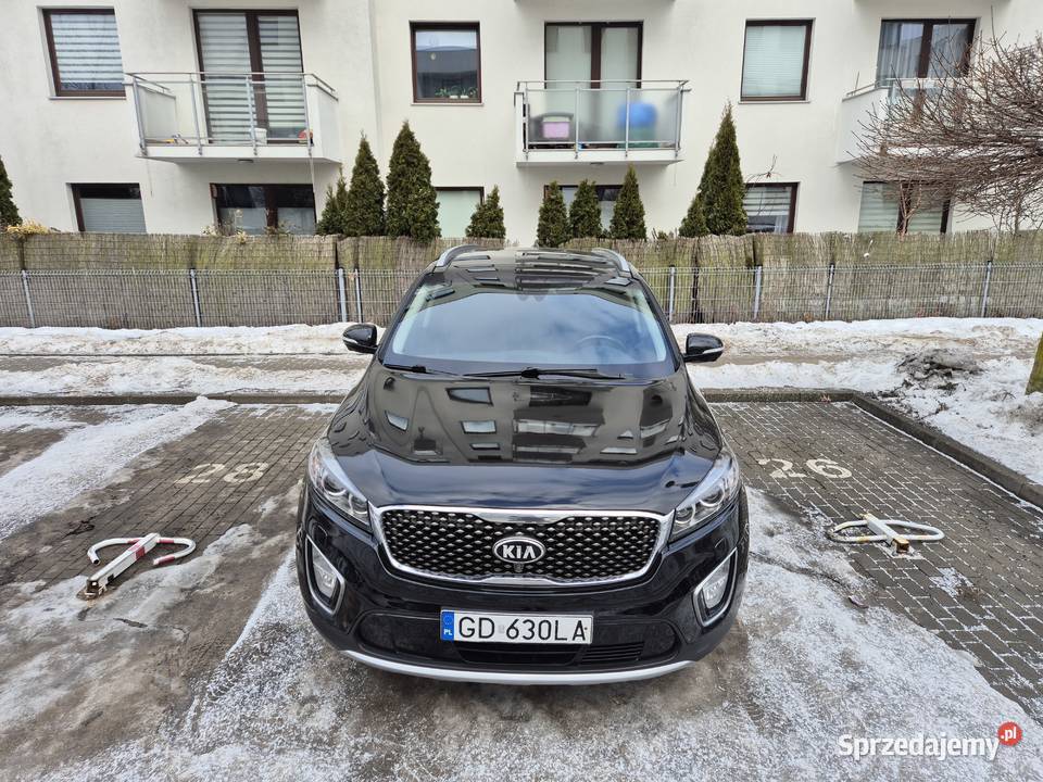 Kia Sorento 20 CRDI Business Line Plus 2016 MP3 Sorento pomorskie Gdańsk