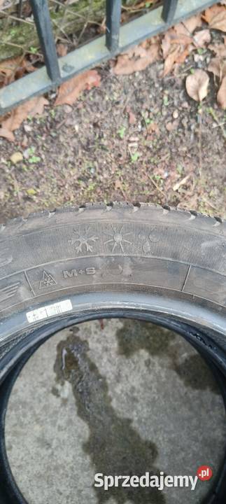 2x 2055516 opony całoroczne Dębica Nawigator 3 mazowieckie Pruszków sprzedam