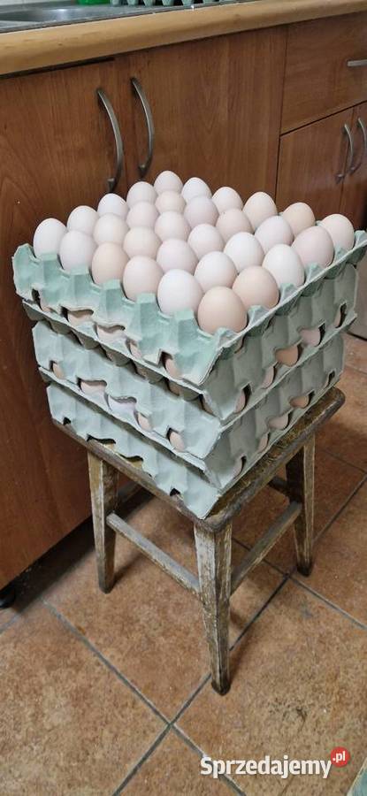 Jaja wiejskie