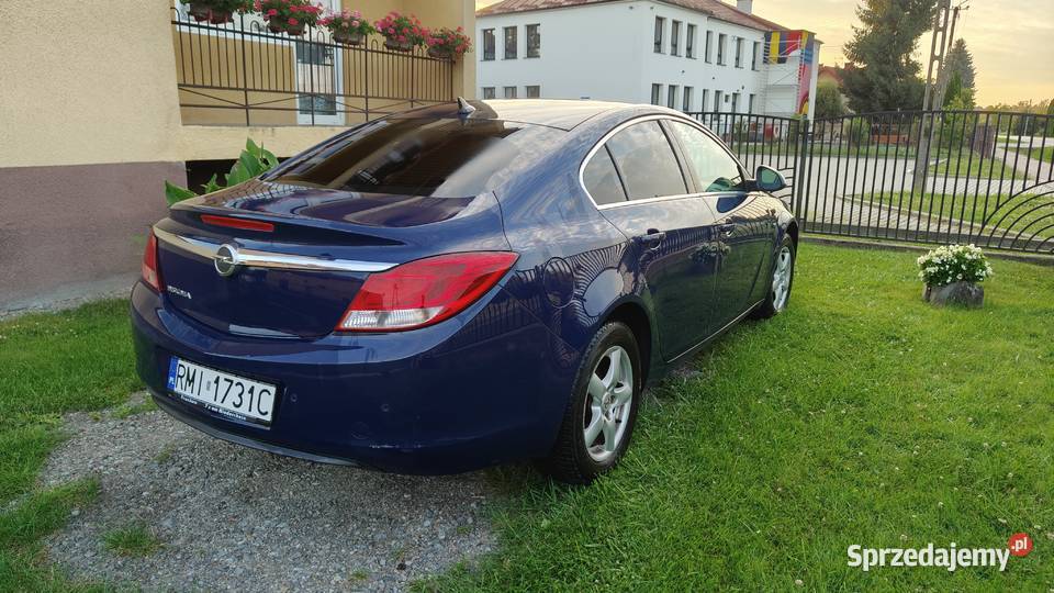 Opel Insignia podkarpackie Borowa