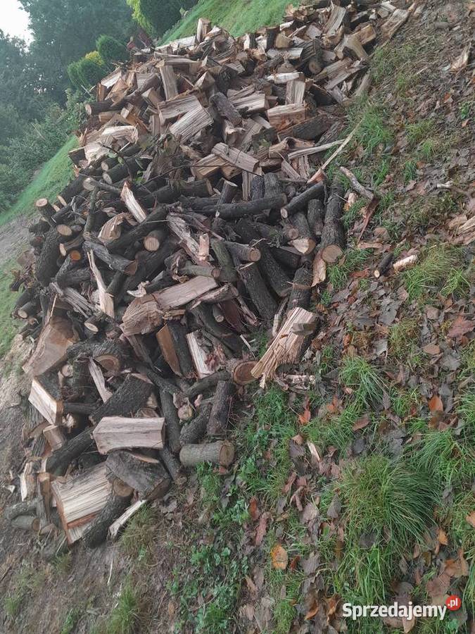 Sprzedam drzewo wiąz Bochnia