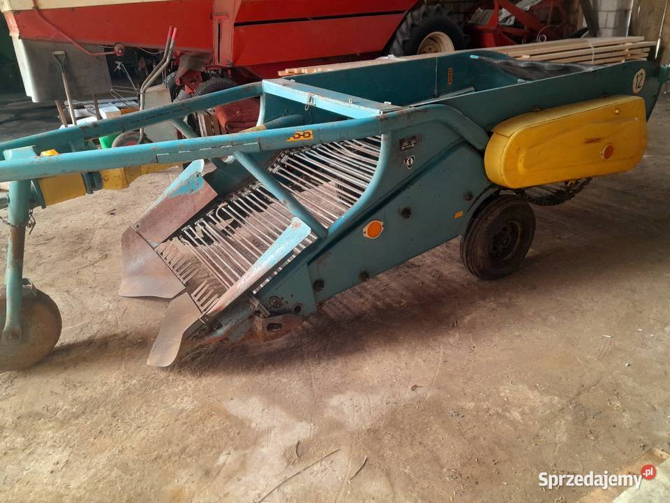 Kopaczka do ziemniaków Ulan-Majorat