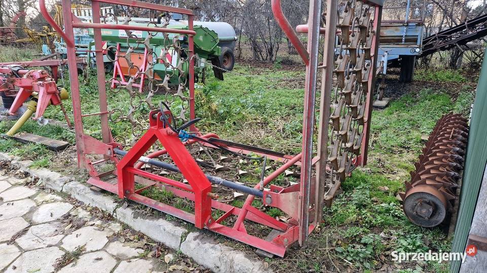 Włuka polowa nieuszkodzony Moniatycze