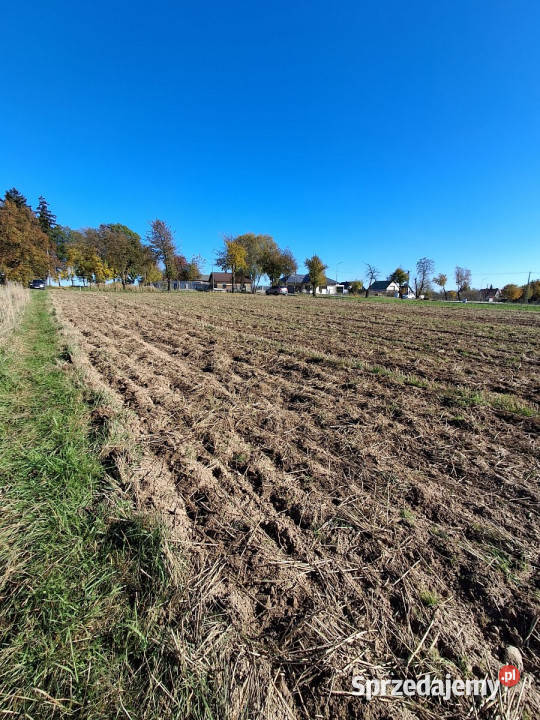 Sprzedam działka Żabia Wola 1003m2 Sprzedaż Grunty i działki