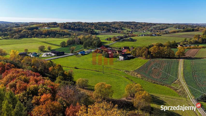 Działka Wielopole Skrzyńskie 1000m2 sprzedam