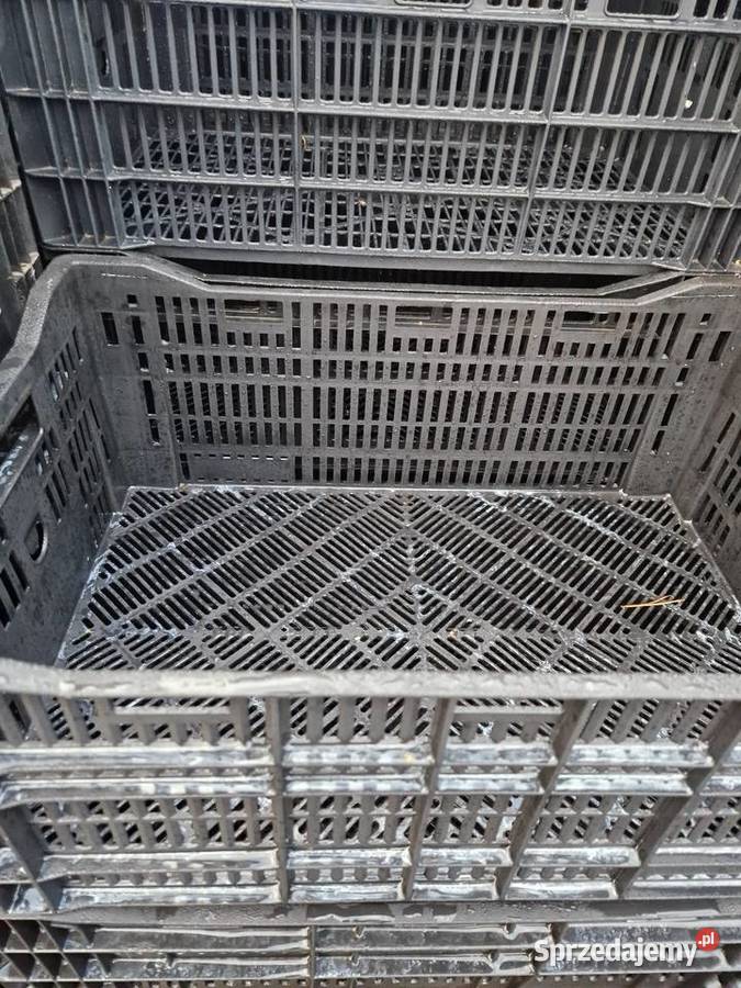 Skrzynka plastikowe Krzątka