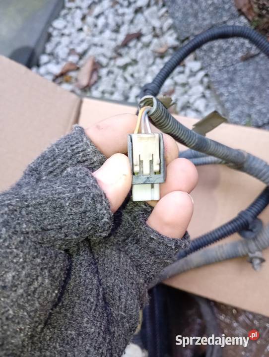 Kostka czujnika Ford Mińsk Mazowiecki