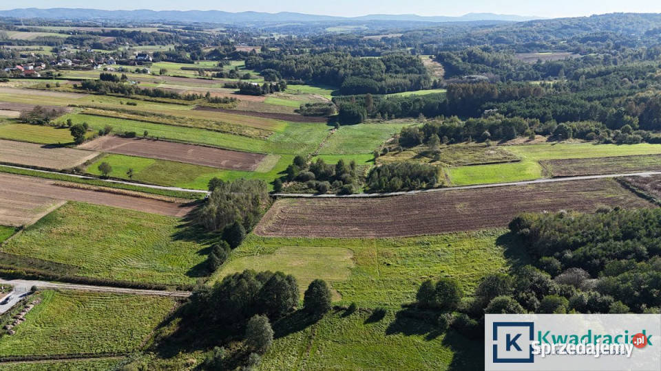 Działka Sieklówka 12304m2 sprzedam
