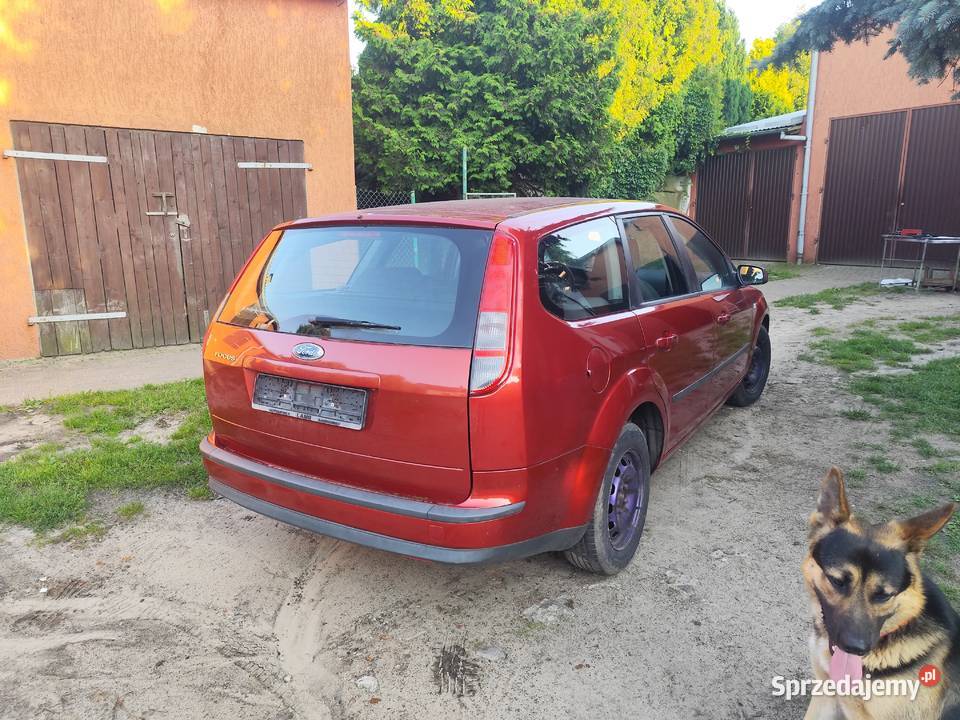 FORD Focus 16 kombi nieuszkodzony