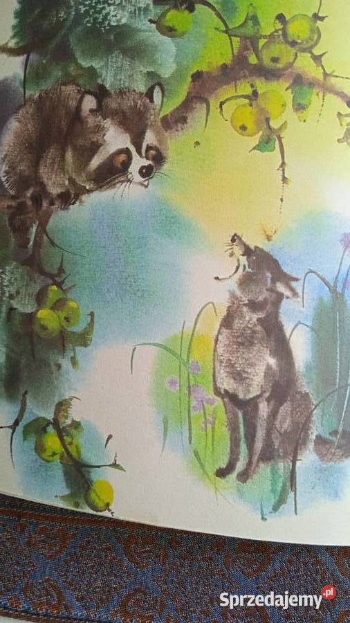 URWIS PACKO Rudo Moric piękna historia z ZOO wielkopolskie