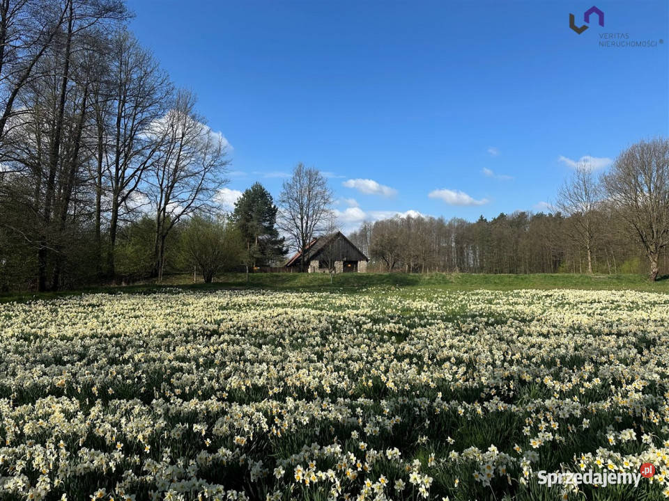 Sprzedaż gruntu Gostyń 2007m2