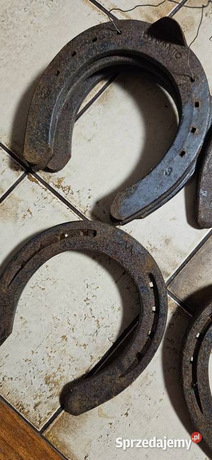 Ozdoba domuna szczęściePodkowa stalowa