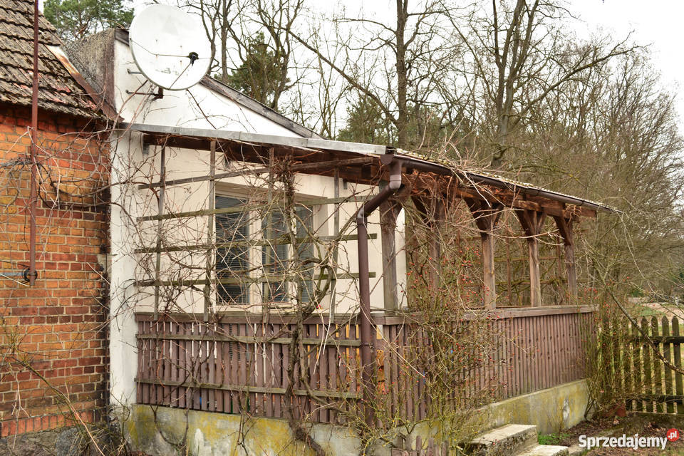 Dom na wsi lesie piękna okolica Górki Noteckie sprzedam