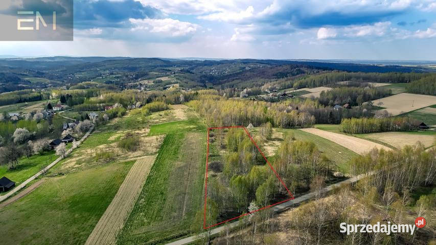 Grunt 4700m2 Gwoźnica Górna sprzedam