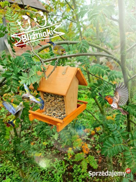 KARMNIK PTAKÓW na parapet z zasypem na ziarno z Zielona Góra sprzedam
