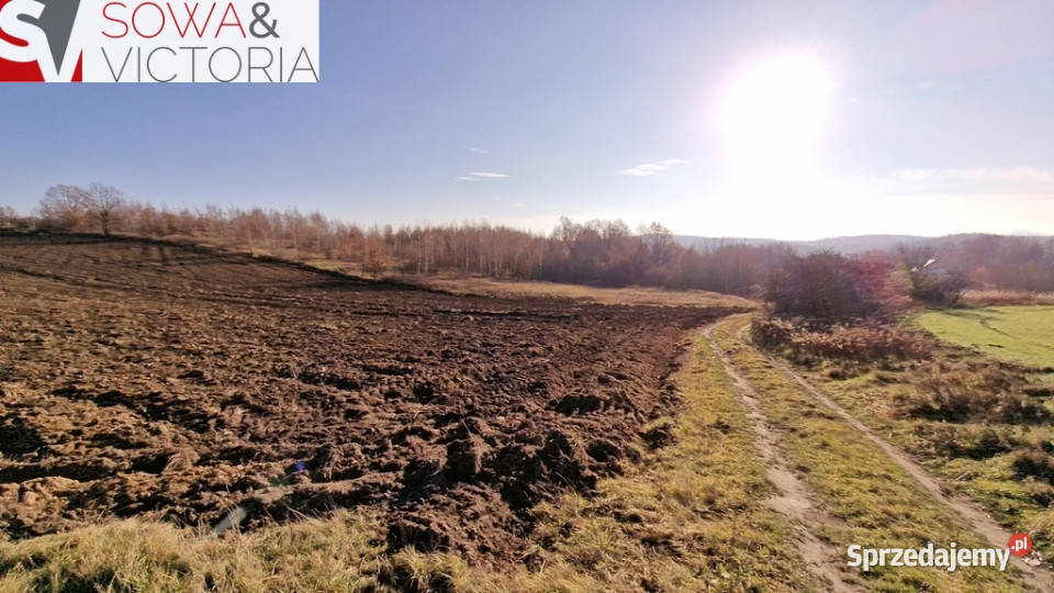 Działka na obrzeżach Wałbrzycha Wałbrzych sprzedam