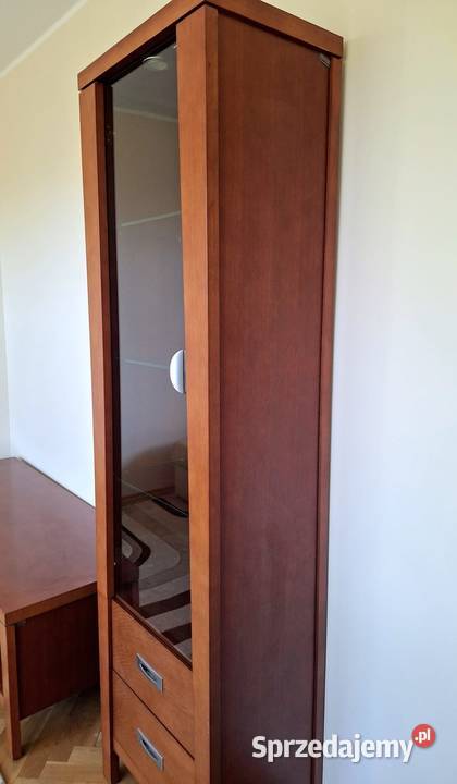 Sprzedam witrynę słupek Gdańsk