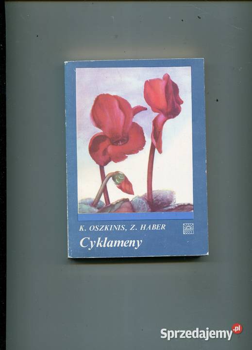 Cyklameny zachodniopomorskie Szczecin