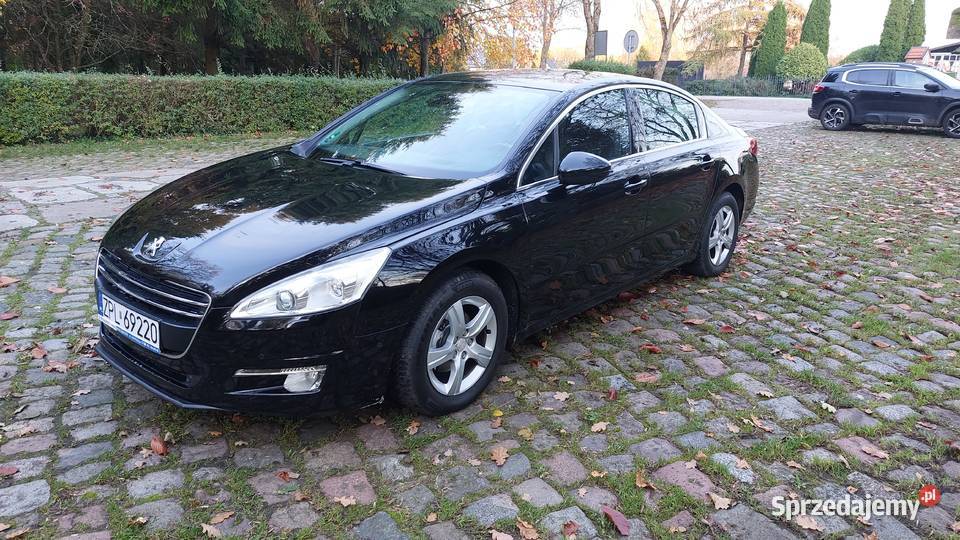 Peugeot 508 Kołobrzeg