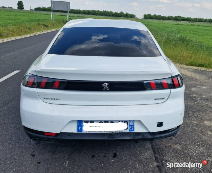 Peugeot 508 Peugeot 508 biały 508 Pleszew