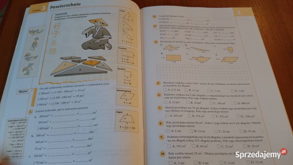 Powtórka przed sprawdzianem szkole podstawowej Gdańsk
