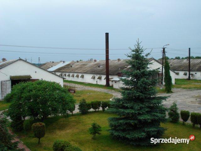 Fermę Drobiu Występ sprzedam